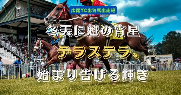 冬天に魁の宵星　テラステラ、始まり告げる輝き